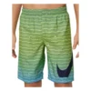 Boys' Nike Shark Stripe Trunks Swimsuit
