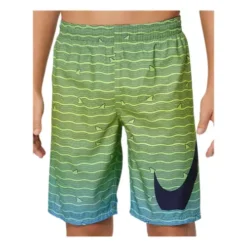 Boys' Nike Shark Stripe Trunks Swimsuit