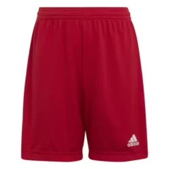 Boys' Adidas Entrada 22 Shorts